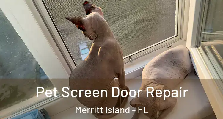 Pet Screen Door Repair Merritt Island - FL